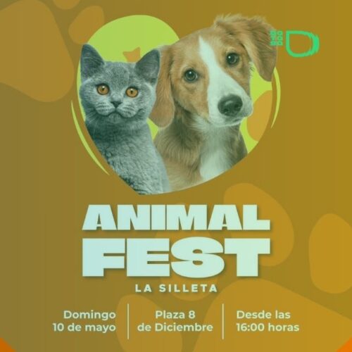 Campo Quijano vive un fin de semana cargado de deporte, ferias, trekking y el gran Animal Fest en La Silleta