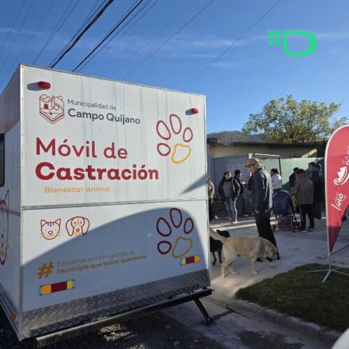 Campo Quijano puso en marcha su Plan de Bienestar Animal con castraciones, vacunación y adopciones responsables