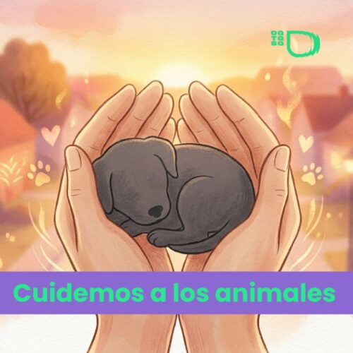 Investigan un brutal caso de maltrato animal en Atocha III: un perro murió tras sufrir una grave herida en el cuello