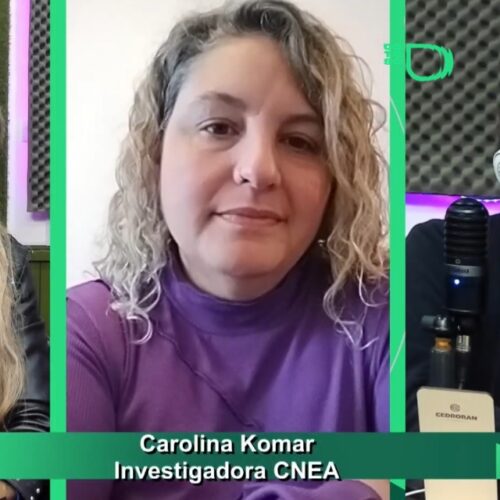 La CNEA alerta por el desfinanciamiento nuclear y la pérdida de trabajadores especializados