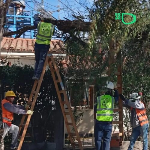 Campo Quijano mantiene activo un amplio operativo tras el paso del viento Zonda