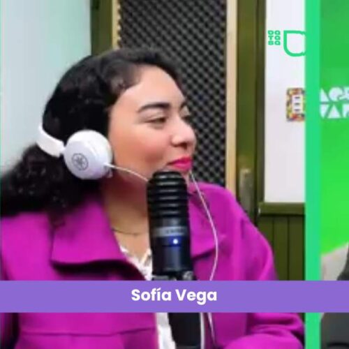 Salta: uno de cada tres deudores ya está en mora