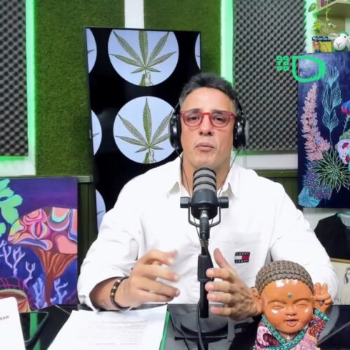 La “pálida” existe: qué contó GreenMed sobre el cannabis